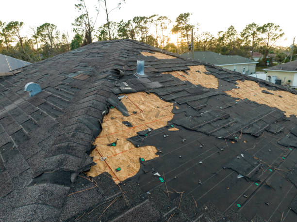 Best Sheet Metal Roofing  in London, CA
